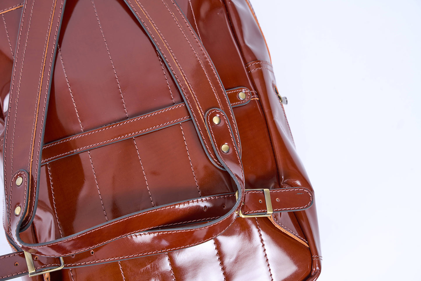 Men's Backpack (Shiny Brown)