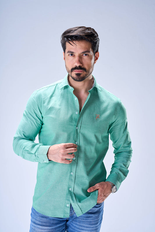 Light Teal