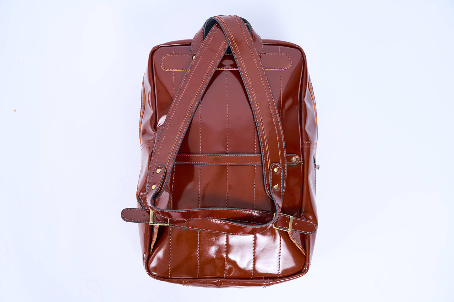 Men's Backpack (Shiny Brown)