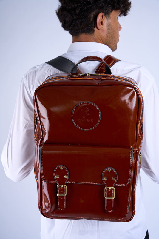 Men's Backpack (Shiny Brown)